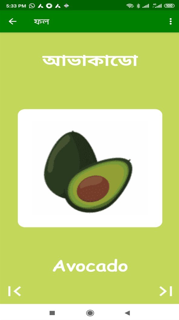 Fruit flashcard for avocado with Bengali and English names